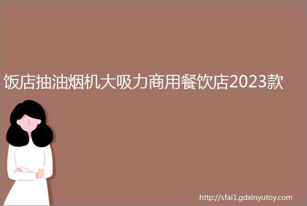 饭店抽油烟机大吸力商用餐饮店2023款