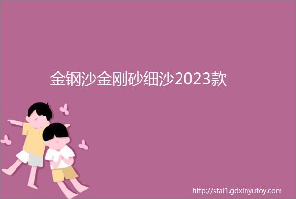 金钢沙金刚砂细沙2023款