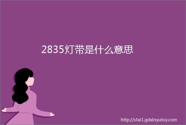 2835灯带是什么意思