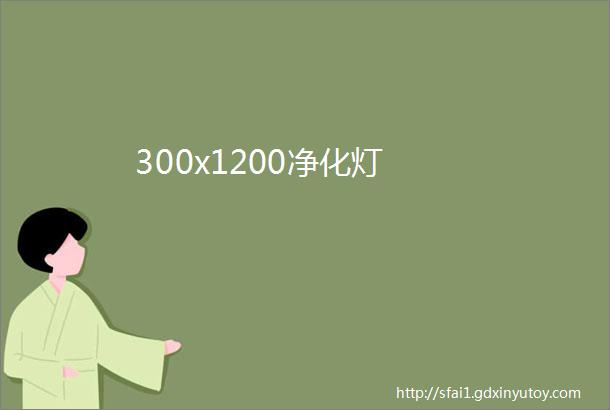 300x1200净化灯