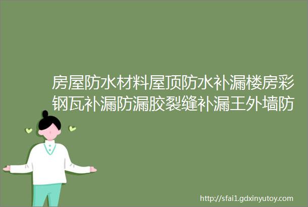 房屋防水材料屋顶防水补漏楼房彩钢瓦补漏防漏胶裂缝补漏王外墙防水涂料卫生间厨房阳台防水材料