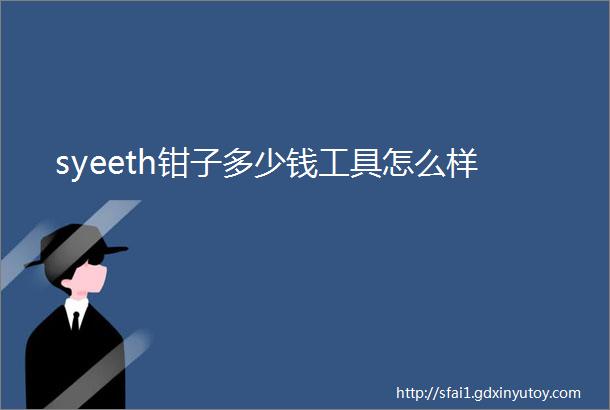 syeeth钳子多少钱工具怎么样