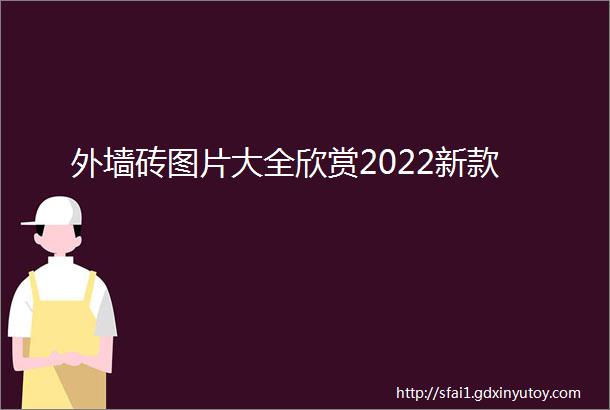 外墙砖图片大全欣赏2022新款