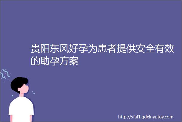 贵阳东风好孕为患者提供安全有效的助孕方案