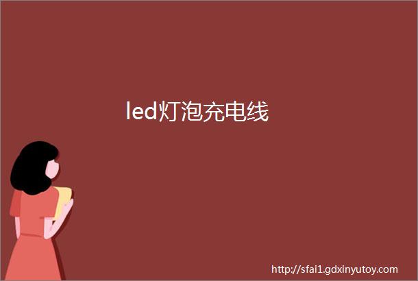 led灯泡充电线